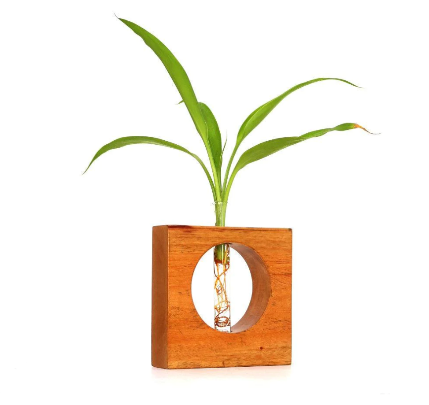 Mannar Craft Hydroponics Test Tube Planter