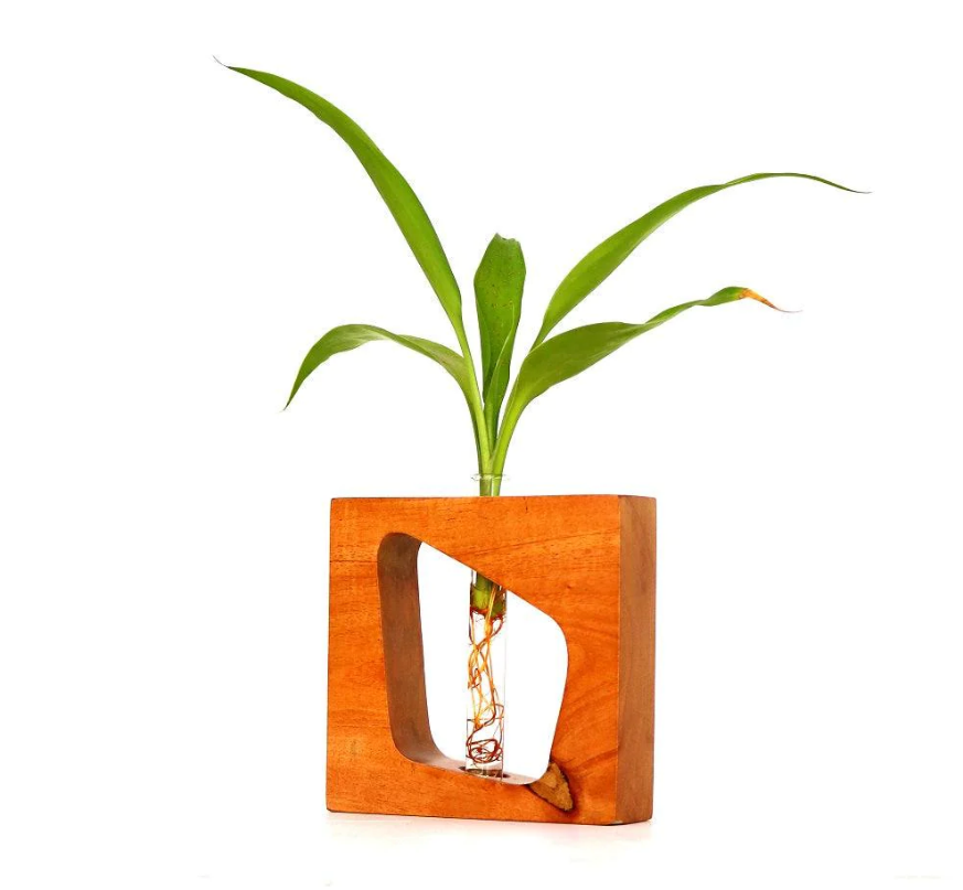 Mannar Craft Wooden Test Tube Planter M3