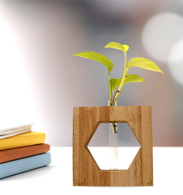 Mannar Craft Wooden Test Tube Planter M4