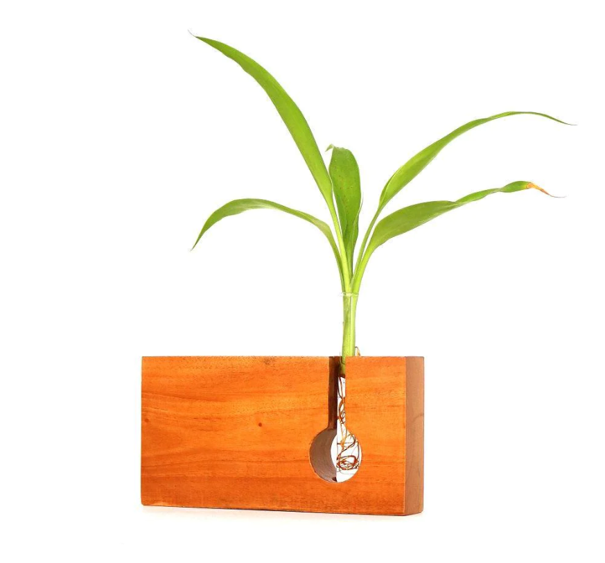 Mannar Craft Rectangle Shape Wooden Test Tube Planter M01