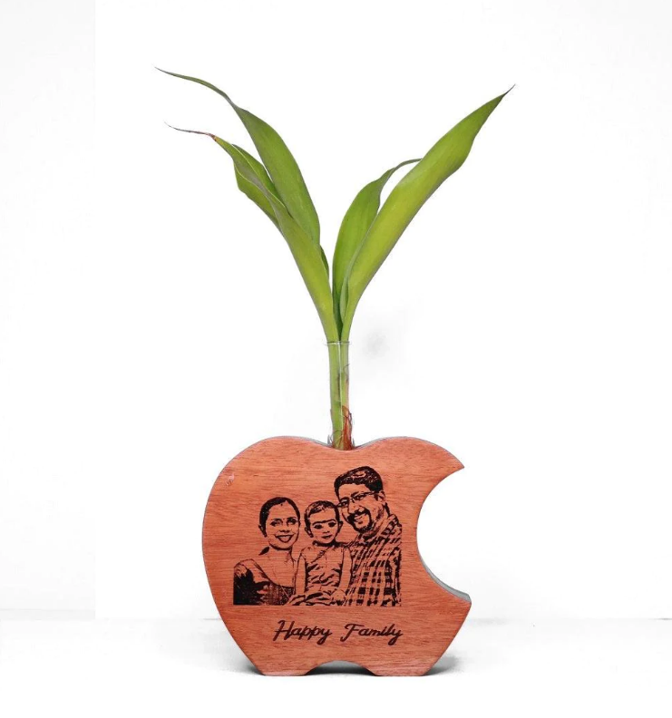 Mannar Craft Apple Shape Wooden Test Tube Planter M5