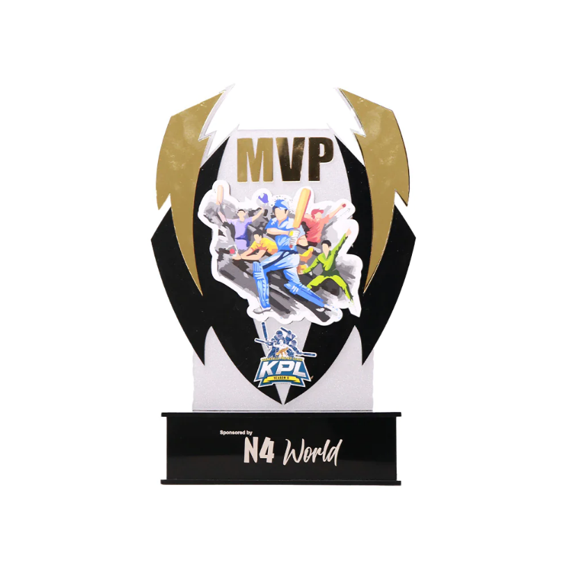 Mannar Craft Acrylic Personalized Cricket Mementos, 9.5H X 5.6W Inch