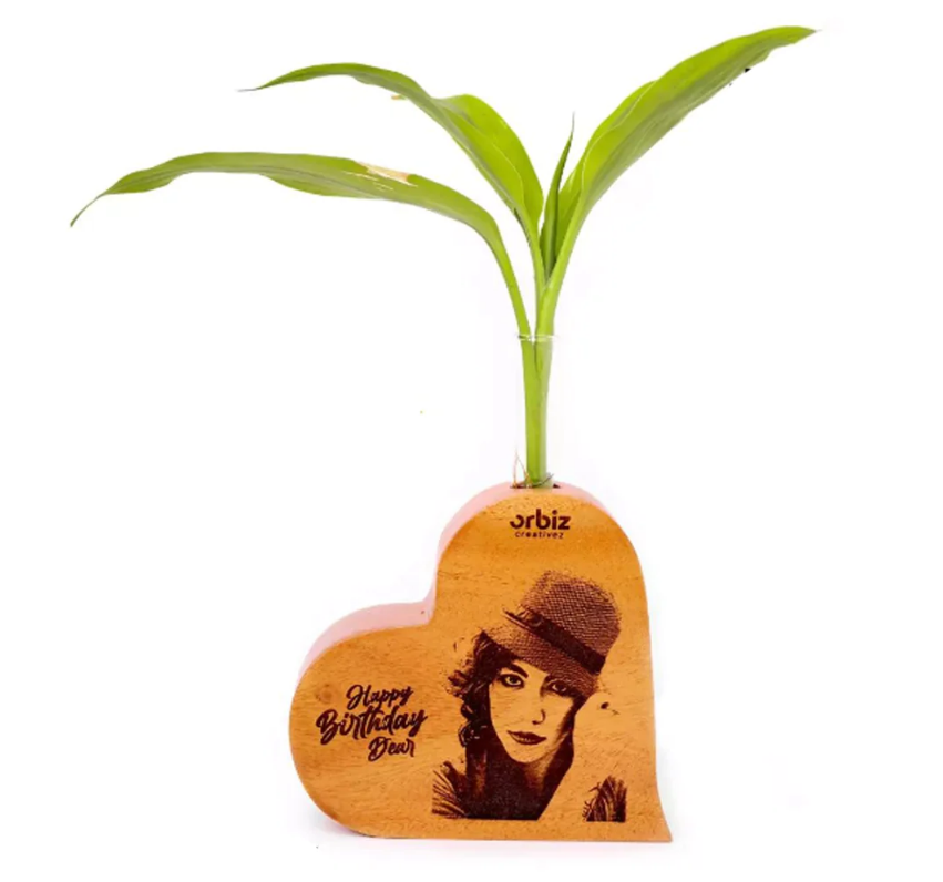 Mannar Craft Wooden Test Tube Planter M5